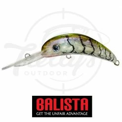 Flash Sale π Balista Dyno π₯ 17 Balista Dyno