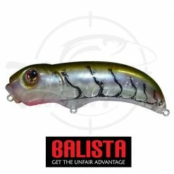 Buy β Balista Hunchback π 13 Balista Hunchback