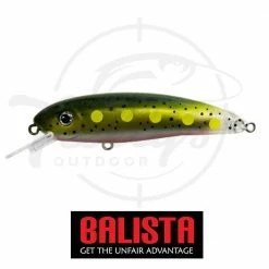 Balista Trigger Fishing