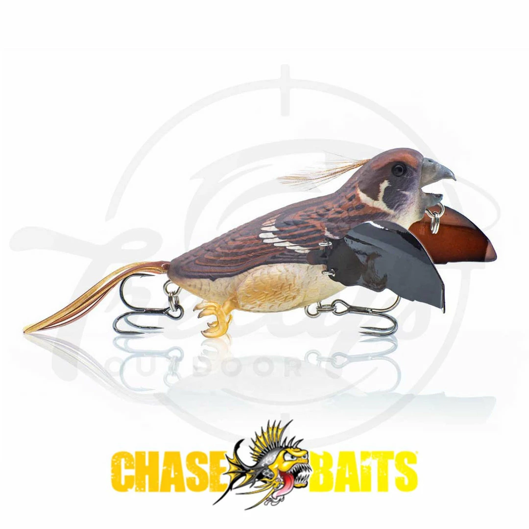 Cheap π Chasebaits The Smuggler Topwater Fishing Lure π€© 1 Chasebaits The Smuggler Topwater Fishing Lure