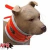 Pet Accessories RPR Nimmie Cut Collar