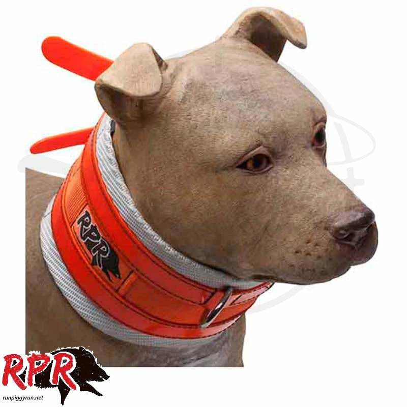 Buy ✔️ Pet Accessories RPR Nimmie Cut Collar ⌛ 1 Pet Accessories RPR Nimmie Cut Collar