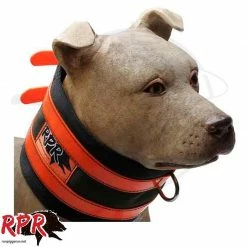 RPR Ridge Cut Collar Pet Accessories