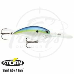 Storm Arashi Rattling Deep 25 Fishing