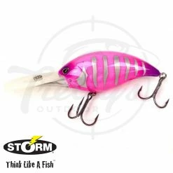 Storm Arashi Rattling Deep 25 Fishing