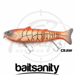 Baitsanity Antidote Glidebait Fishing Lure