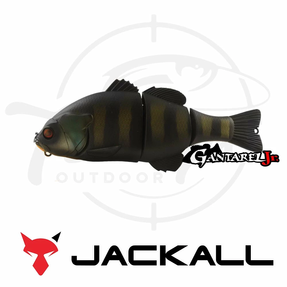 Discount π Jackall Chibitarel π 1 Jackall Chibitarel