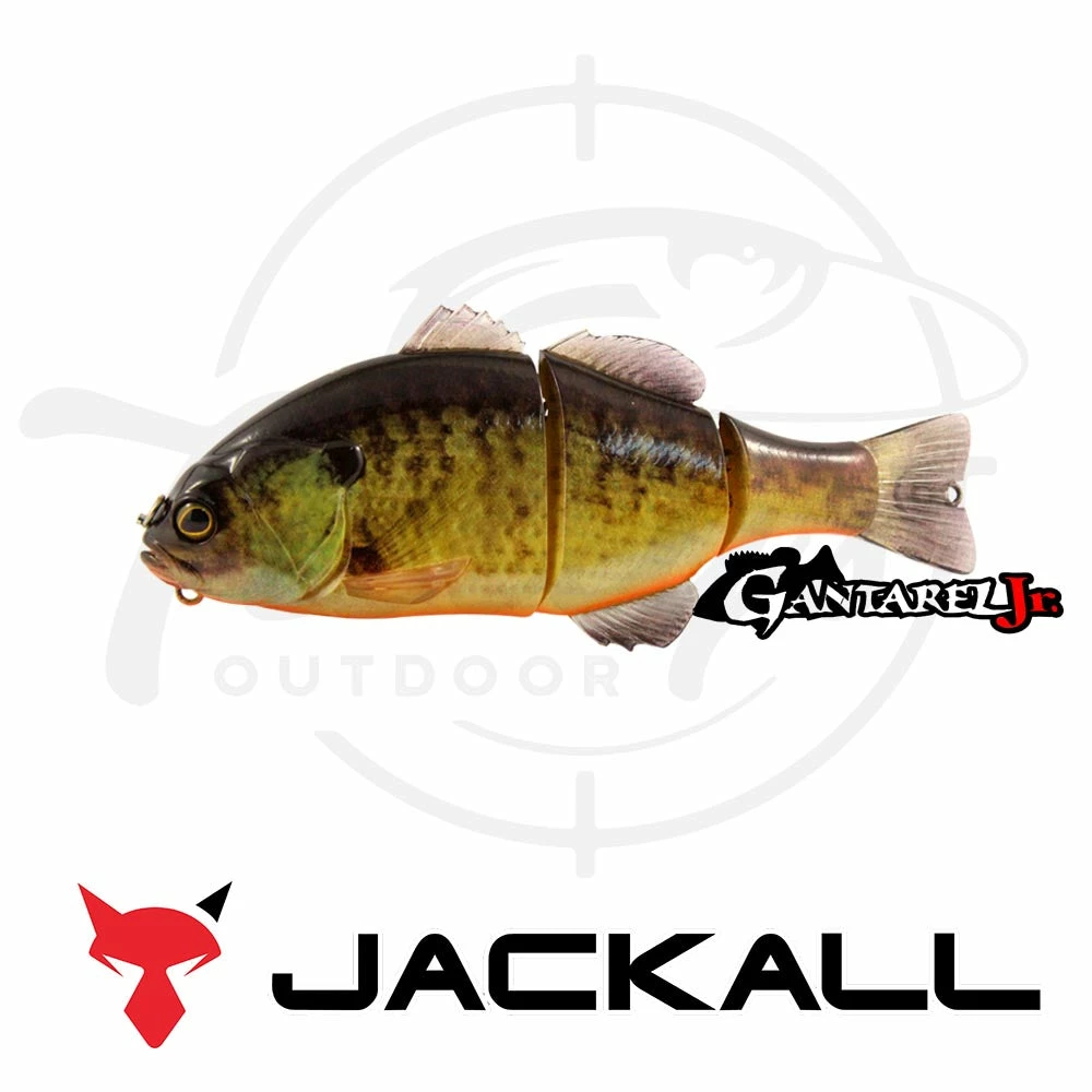 Discount π Jackall Chibitarel π 7 Jackall Chibitarel