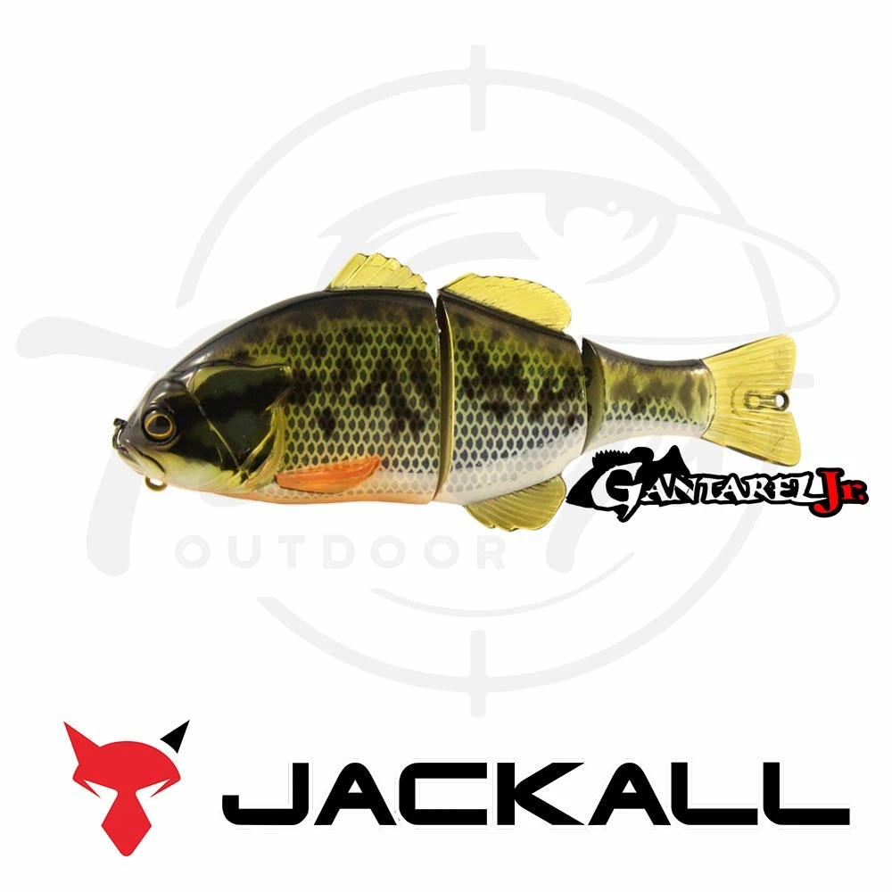 Discount π Jackall Chibitarel π 8 Jackall Chibitarel