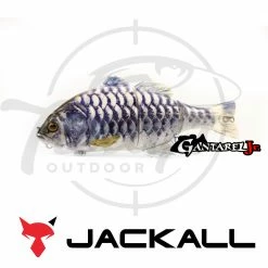 Discount π Jackall Chibitarel π 17 Jackall Chibitarel