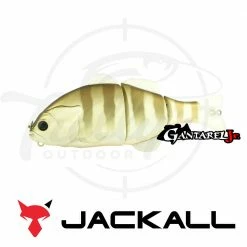 Discount π Jackall Chibitarel π 25 Jackall Chibitarel