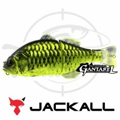Deals 🔔 Jackall Gantarel 🥰 31 Jackall Gantarel