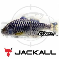 Deals 🔔 Jackall Gantarel 🥰 20 Jackall Gantarel