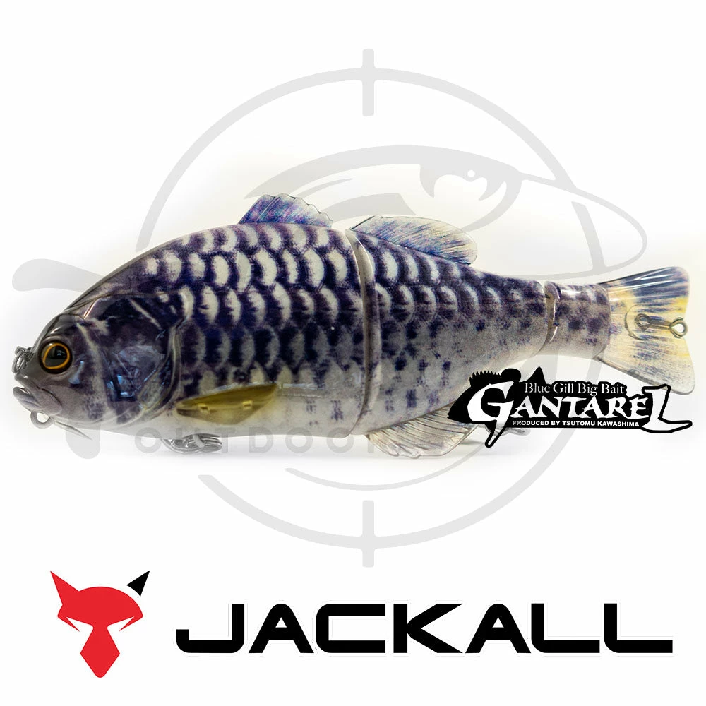 Deals 🔔 Jackall Gantarel 🥰 5 Jackall Gantarel