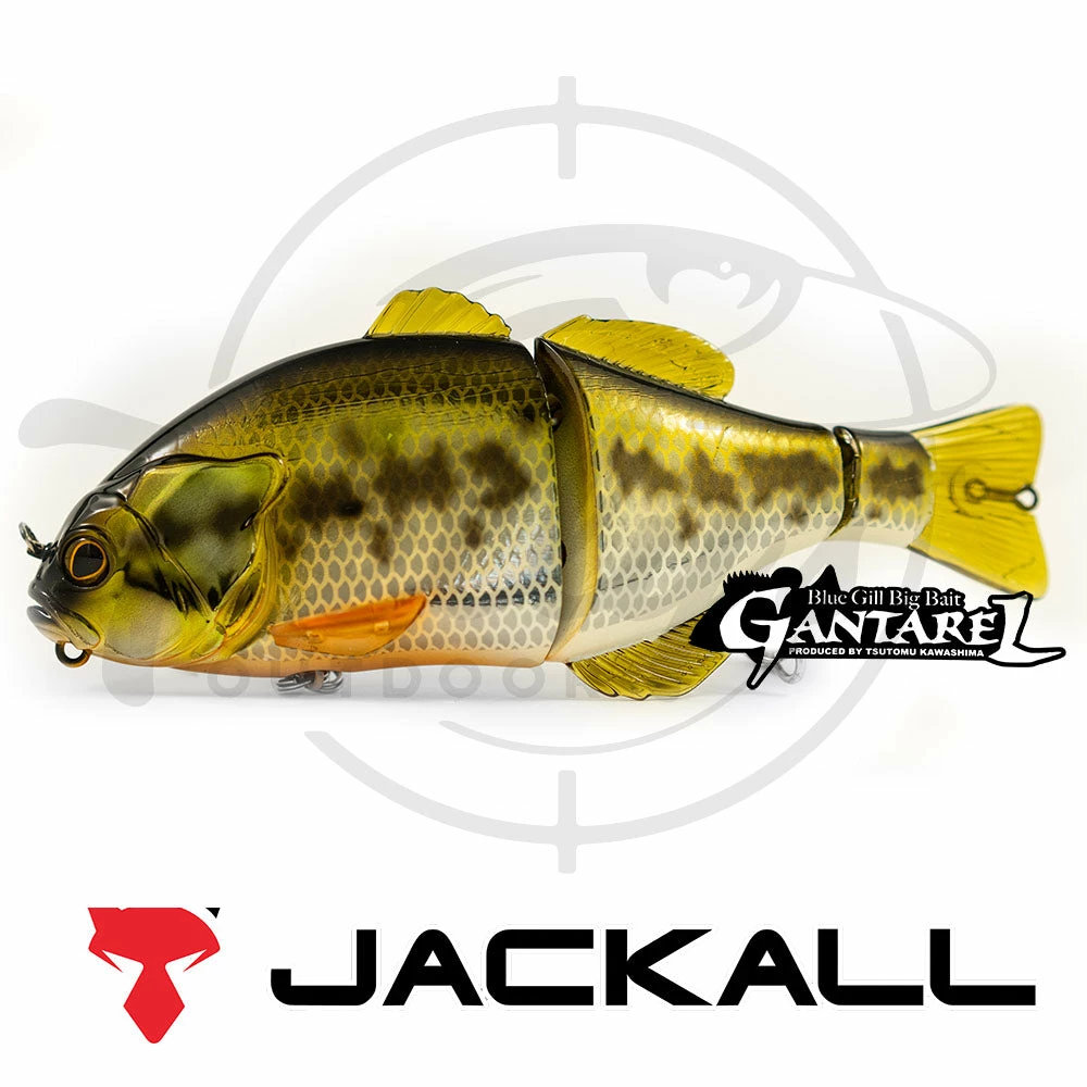 Deals 🔔 Jackall Gantarel 🥰 2 Jackall Gantarel